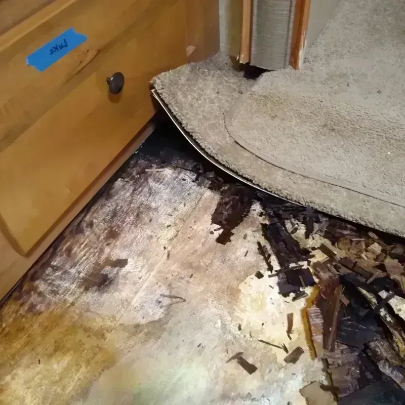 Wood Floor Water Damage in Boardman, OH